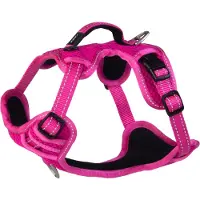 Rogz Explore Sjx14 Hundesele