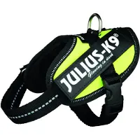 Julius-K9 K9 IDC sele, str.: Baby 2, neongrøn 33-45 cm