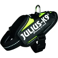 Julius-K9 K9 IDC sele, str.: Baby 1, neongrøn 29-36 cm
