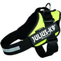 Julius-K9 IDC hundesele, neon grønn - Størrelse L: brystomkrets 63 - 85 cm