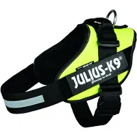 Julius-K9 IDC hundesele, neon grønn - Størrelse XL: brystomkrets 71 - 96 cm