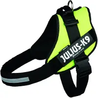 Julius-K9 *K9 IDC sele, str.: 4, neongrøn 96-138 cm