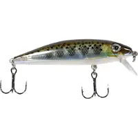 Rapala X-rap Countdown Minnow 10g 70 Mm