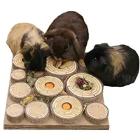 Rosewood Maze-A-Log Treat Challenge