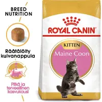 Royal Canin Maine Coon Fjærkre Kattungemat 2kg