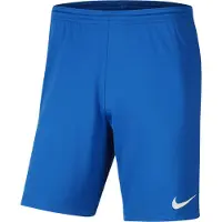 Nike Dri Fit Park 3 Knit Shorts