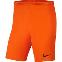 Nike Dri Fit Park 3 Shorts