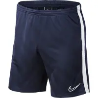 Nike Dry Academy 19 Shorts