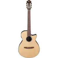 Ibanez AEG50N Natural