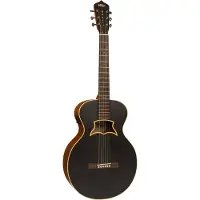 Vintage Raven av Paul Brett Electro Acoustic Satin Black