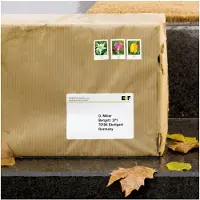 Herma Special - Polyester - matt - selvklebende med ekstra styrke - hvit - 57 x 99.1 mm 250 etikett(er) (25 ark x 10) forsendelsesfilmetiketter