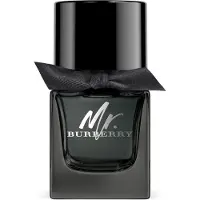 Burberry Mr. EDP 50 ml