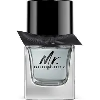 Burberry Mr 50ml Eau De Toilette