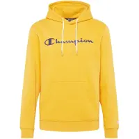 Champion 214743 Hettegenser