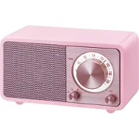 Sangean Mini Wr7 Radio