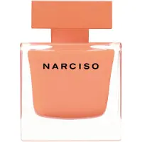 Narciso Rodriguez Narciso - Ambree - Spray