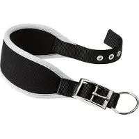 Ferplast Ergocomfort 25 Mm 46 Cm Hundehalsbånd