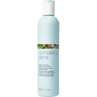 Milk shake Normalizing Blend 300 Ml Sjampo