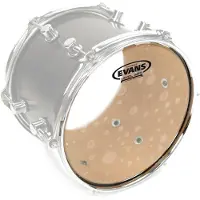 Evans Hydraulic Glass Drum Head 10
