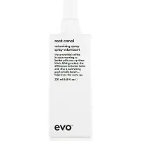 Evo Root Canal Vol. Spray 200 ml