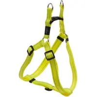 Rogz Classic Special Ssj06 Hundesele