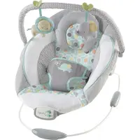 Ingenuity Soothing Bouncer Morrison