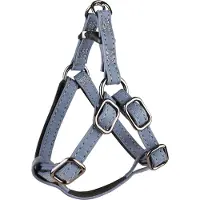 Flamingo Step And Go Delu Hundesele