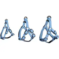 Flamingo Step And Go Leza Hundesele