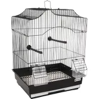 Flamingo Lampung 2 Fuglebur