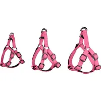 Flamingo Step And Go Leza Hundesele