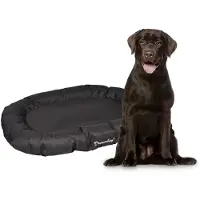 Flamingo Bay Hundeseng