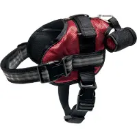 Flamingo Adventure Hundesele