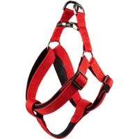 Flamingo Rover Jannu Hundesele