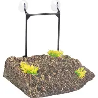 Flamingo Som Skilpadde Dock øy S