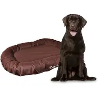 Flamingo Bay Hundeseng