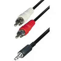 Goobay - Lydkabel - mini-phone stereo 3.5 mm hann til RCA x 2 hann - 10 m - skjermet - svart