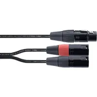 Cordial EY 0.3 FMM, XLR (3-pin), Hunkjønn, 2 x XLR (3-pin), Hankjønn, 0,3 m, Sort