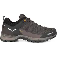 Salewa Mtn Trainer Lite Goretex Tilnærmingssko