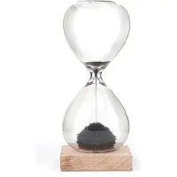 Kikkerland St05 Timer