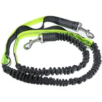 24.Se Hundbånd for løping