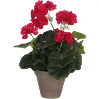 Mica Decorations Kunstig Geranium