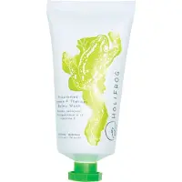HoliFrog Kissimmee Vitamin F Therapy Balmy Wash 74 Ml Rens