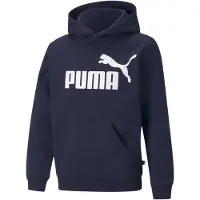 Puma Essentials Big Logo Fl Collegegenser