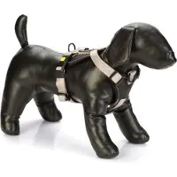 Beeztees Premium Parinca Y Hundesele