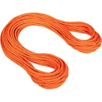 Mammut Crag Dry 9.8 Mm Tau
