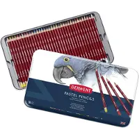 Derwent Pastel Pencils 36 stk.