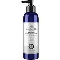 Clochee Cosmetics CLOCHEE_Boligende antioksidanttoner Grønn te &amp Ginkgo bladekstrakt 250ml