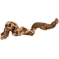 Trixie Vinstokkersett 55-80 Cm