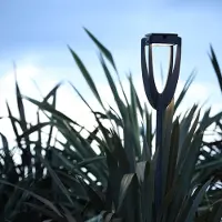 LES JARDINS LED-solcellelampe Tulip med jordspyd, antrasitt