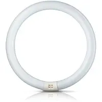 Philips G10q 22W 865 lysstoffring Master Circular TL-E
